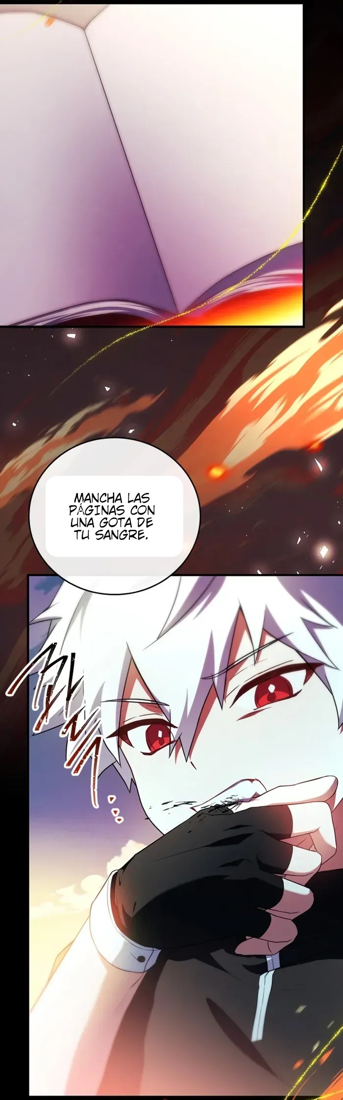 Página 31